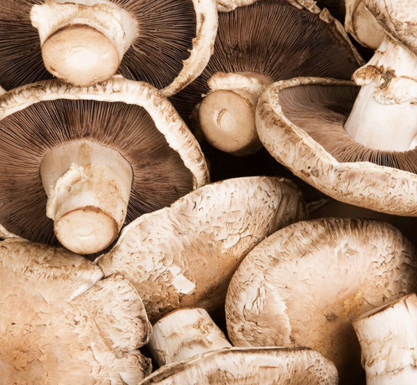 kërpudha të egra të freskëta, të prera (si cremini, shiitake, dhe/ose kërpudha oyster)